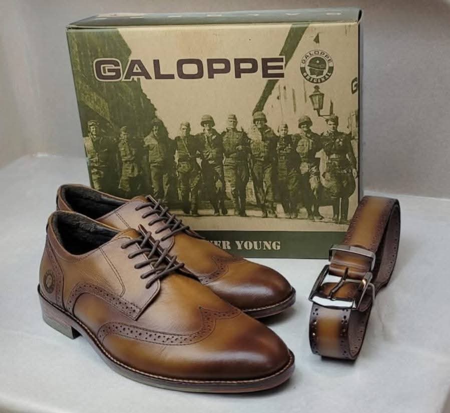 GALOPE CABALLERO ZOXFORD 297204 - NUVOLLA MARTELL
