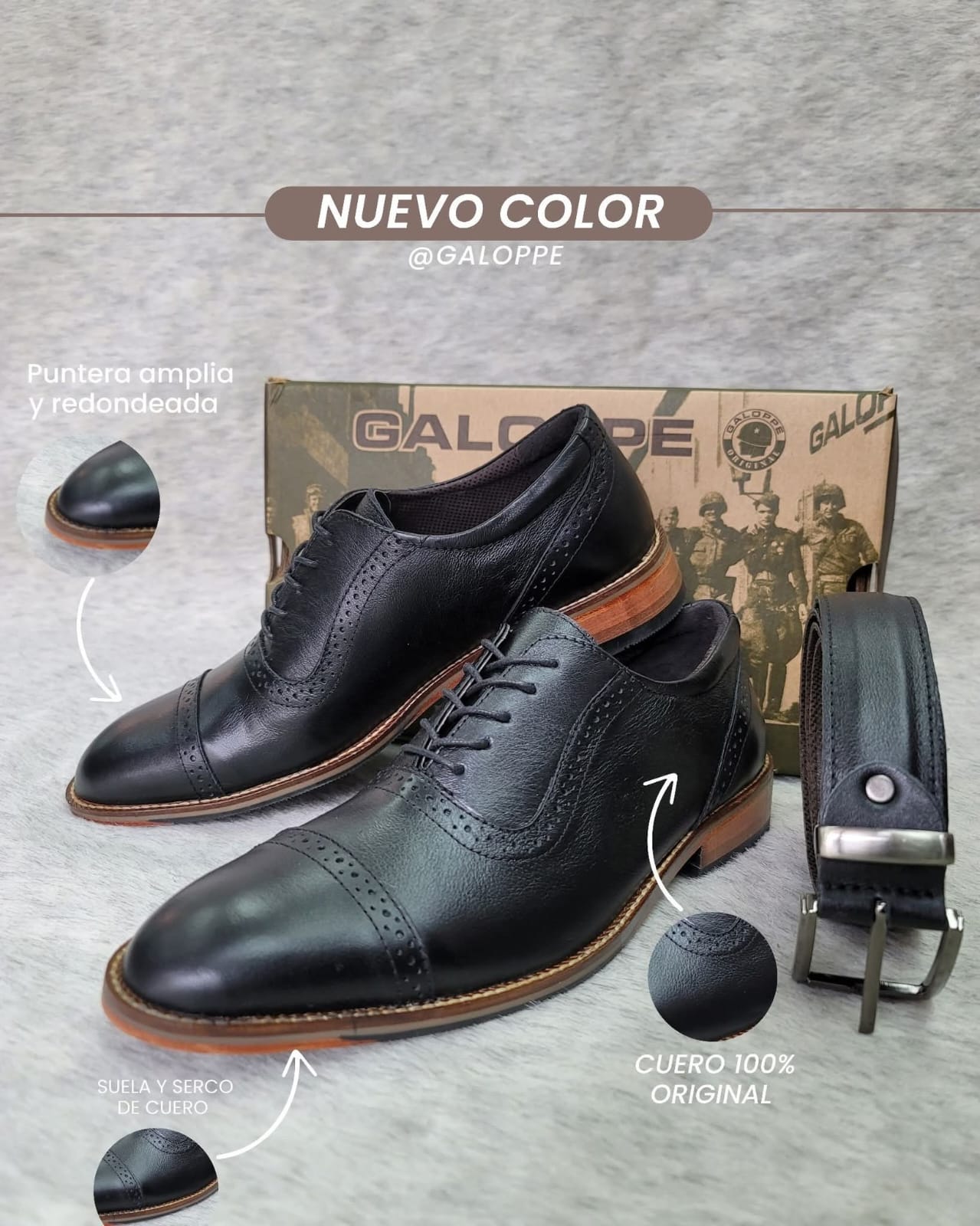 GALOPE CABALLERO ZOXFORD 297206 - VITELLO NEGRO